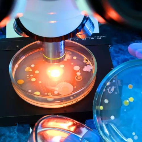 Генетическое тестирование