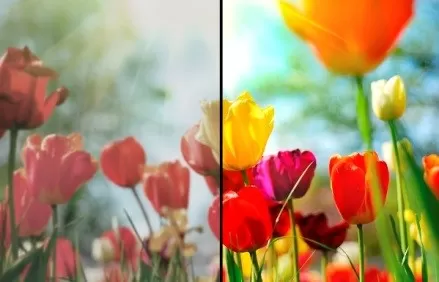 Лечение макулярной патологии