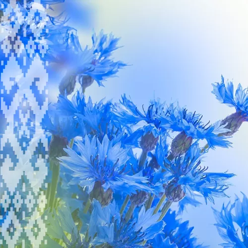 С Днем независимости!